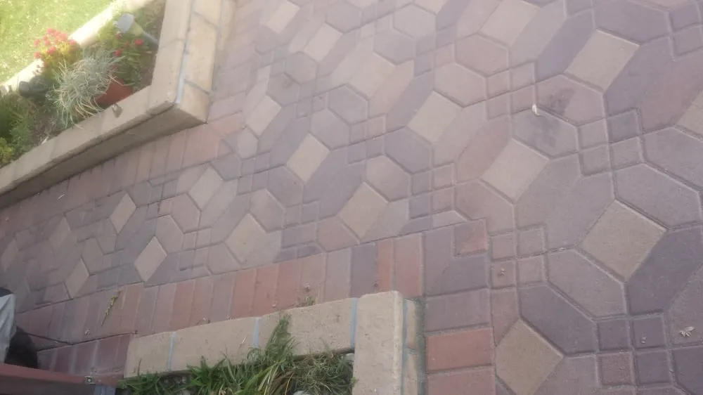 Top-rated yard maintenance for beautiful yards across Kingman, AZ - Krueger's Property Improvements