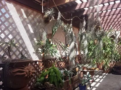 Top-rated residential landscaping in Kingman, AZ by Krueger's Property Improvements