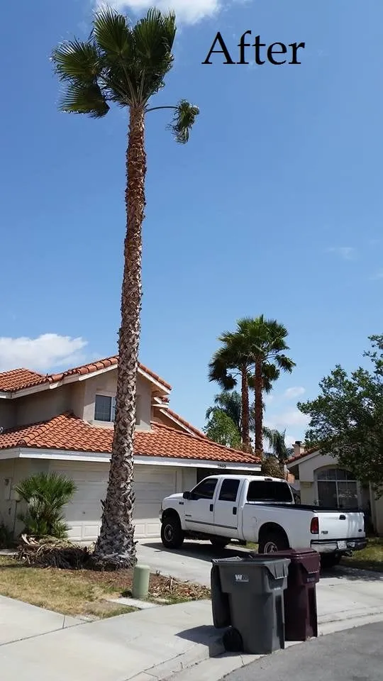 Trusted landscape design in Kingman, AZ by Krueger's Property Improvements