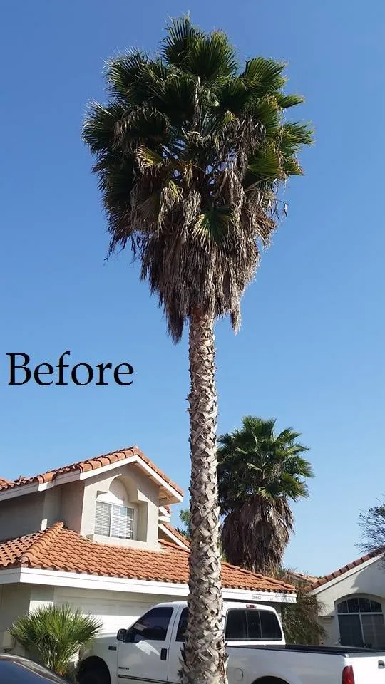 Custom residential landscaping in Kingman, AZ by Krueger's Property Improvements