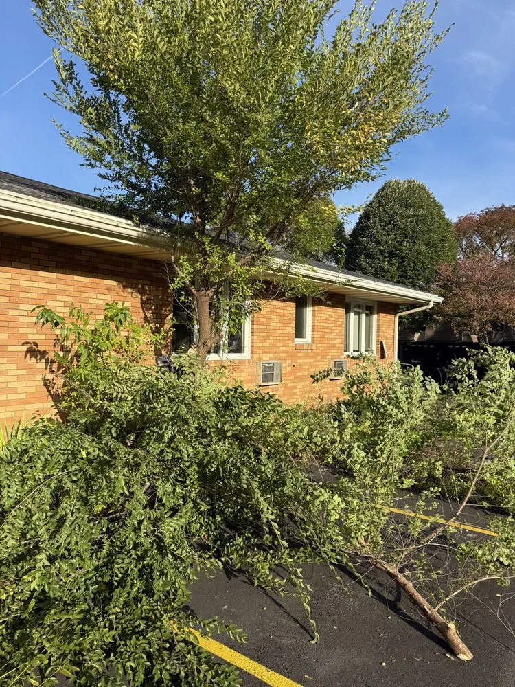 Expert lawn care service experts serving Brockport, NY - Krug’s property services