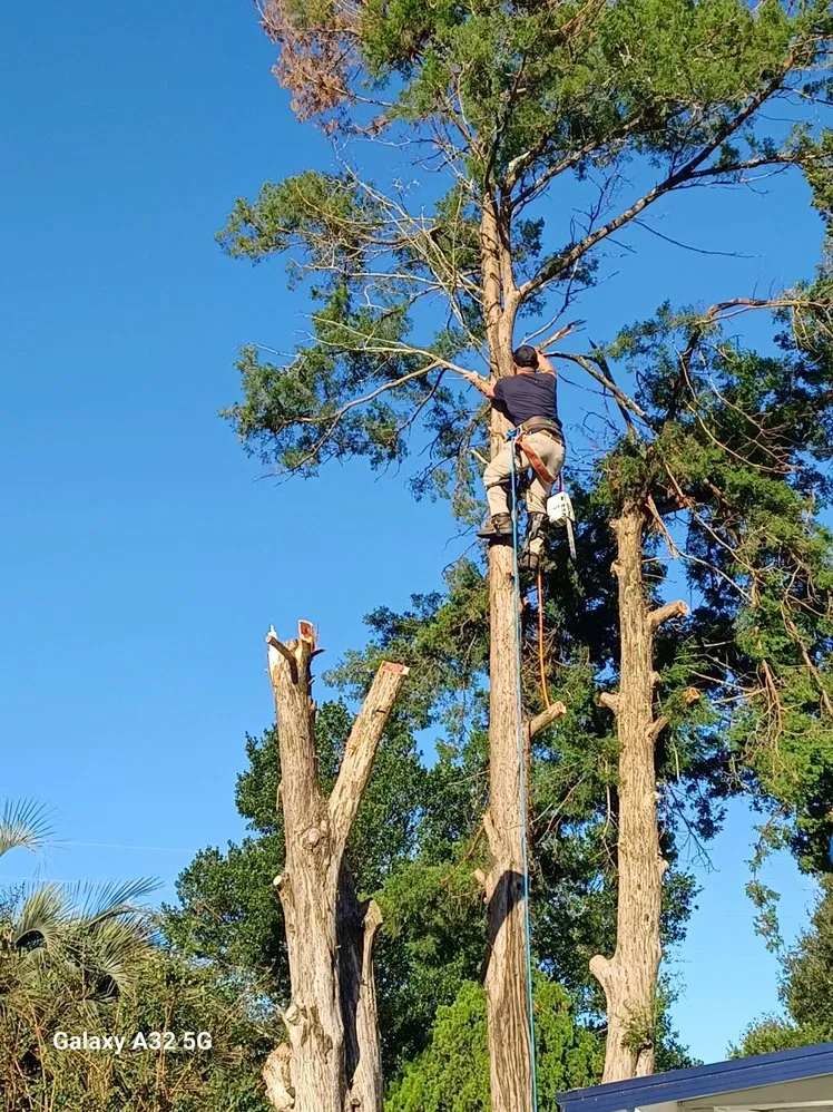 Top-rated garden landscaping for outdoor upgrades across Ocala, FL - Kruis Kuts & More