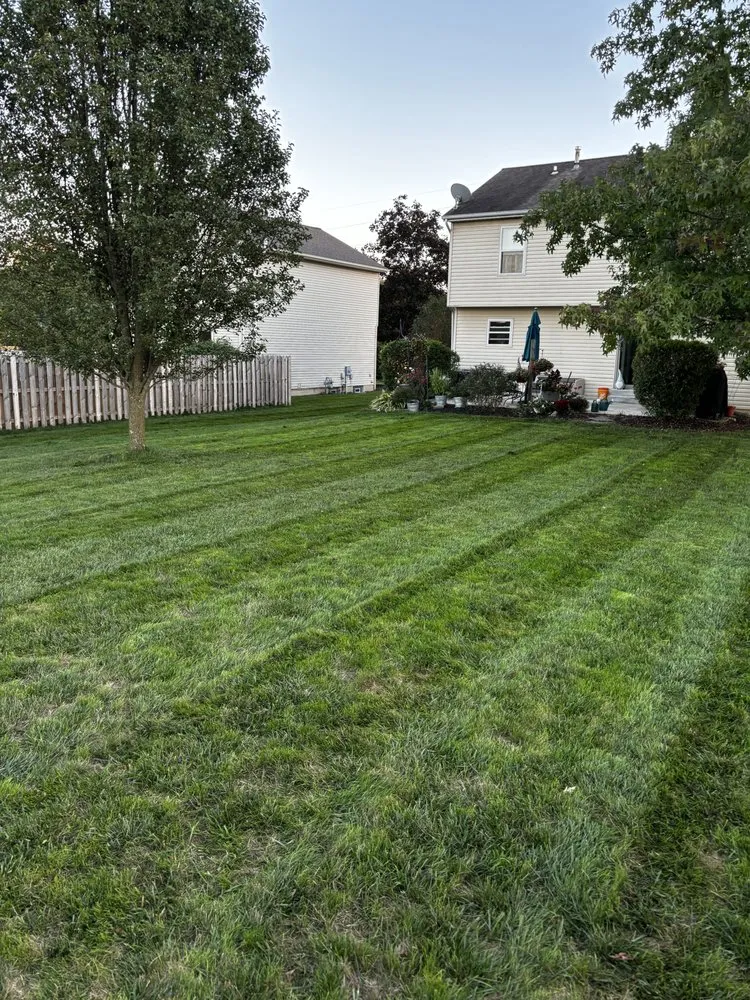 Top-rated landscape installation experts serving Westerville, OH - Krupa’s Care Lawn & Landscape