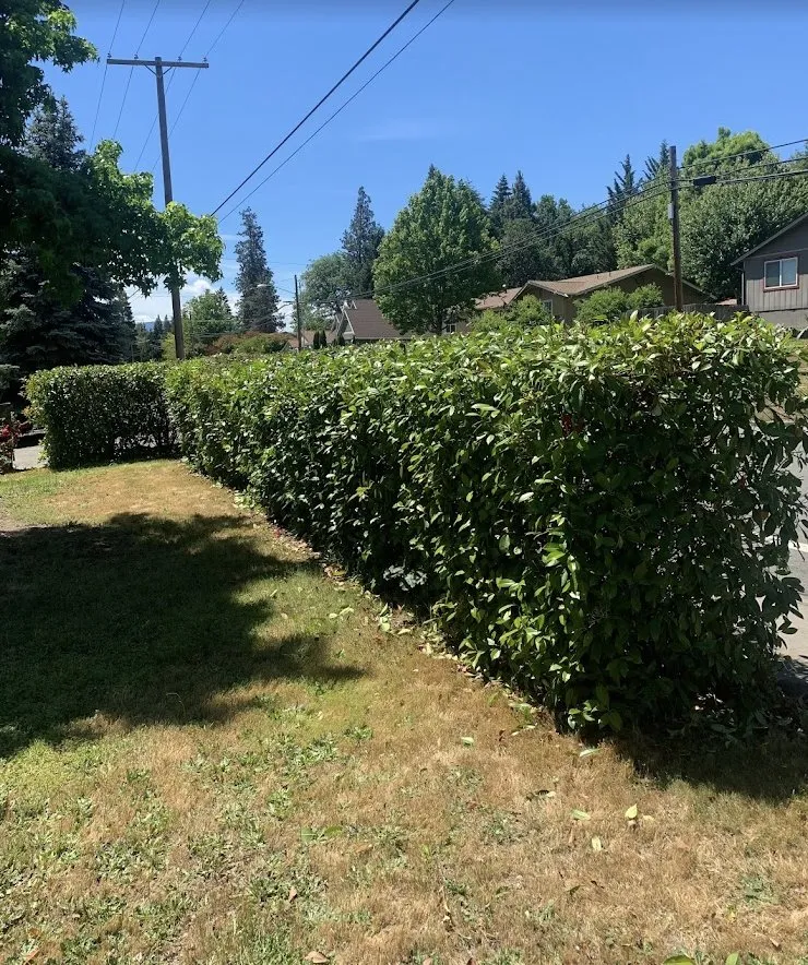 Trusted lawn care service in Grants Pass, OR - Kruse Control Yard Care