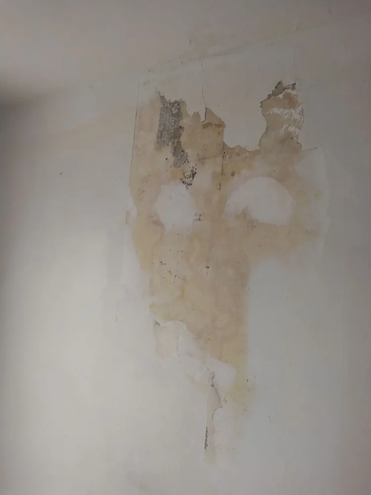 Custom lawn mowing service in Covington, KY - Kruse Home Services