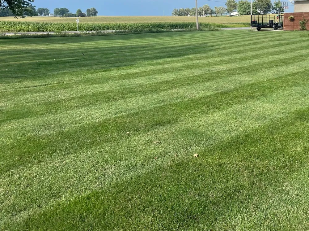 Local yard cleanup service experts serving Eldridge, IA - Kruse Lawns and Services