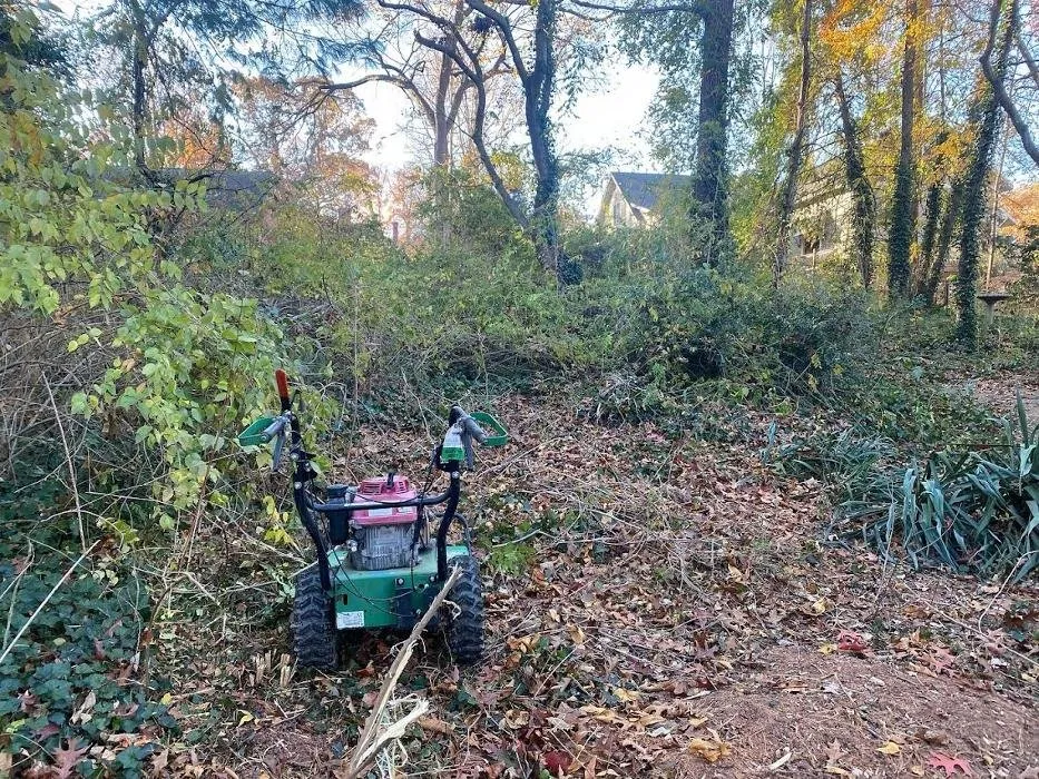 Expert yard cleanup service experts serving High Point, NC - Krypteia Landscape Design