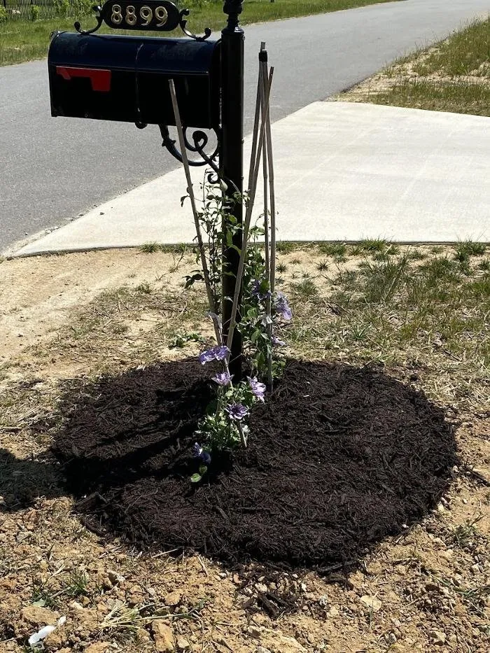 Trusted outdoor landscaping for residential properties in High Point, NC by Krypteia Landscape Design