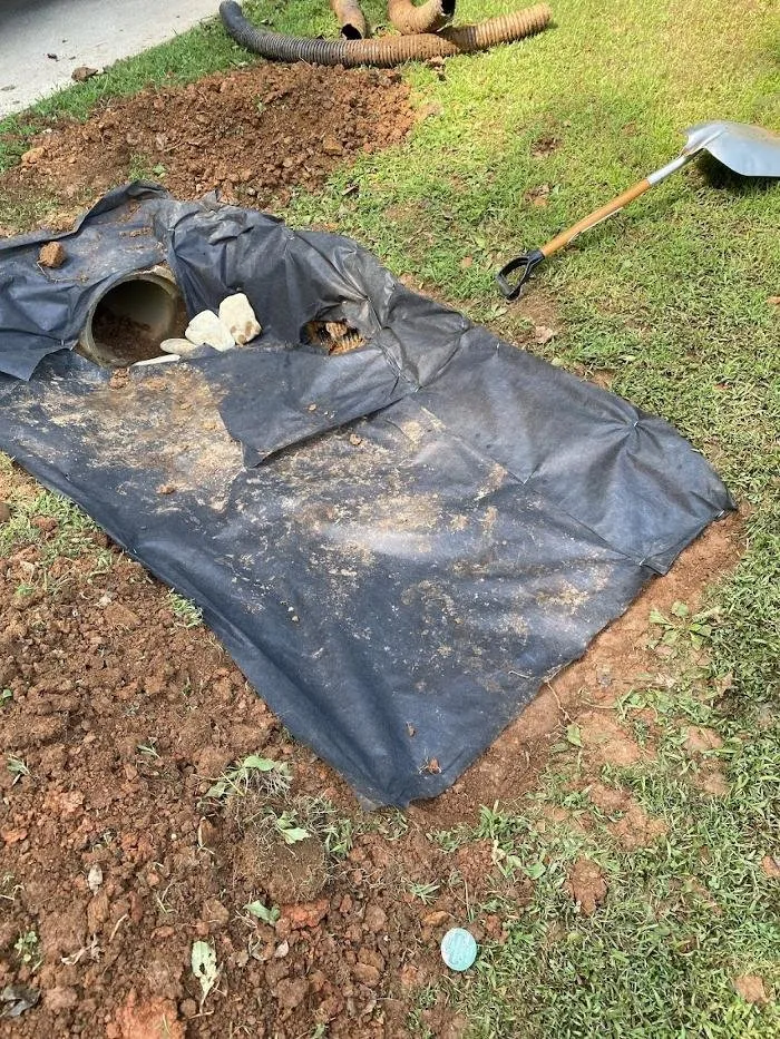 Top-rated lawn care service in High Point, NC by Krypteia Landscape Design