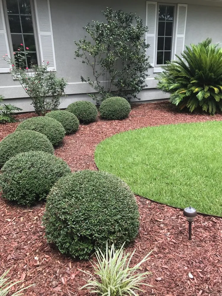 Local landscaping services in Hilton Head Island, SC by Krystal's Landscaping Home & Services