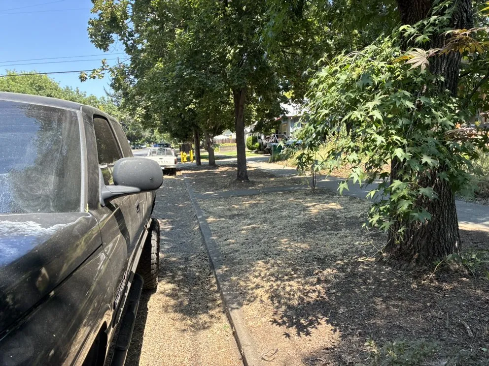 Local yard cleanup service in Chico, CA by K’s All Around Services