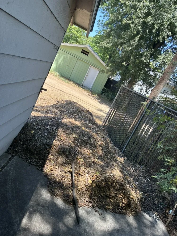 Trusted landscaping services in Chico, CA - K’s All Around Services