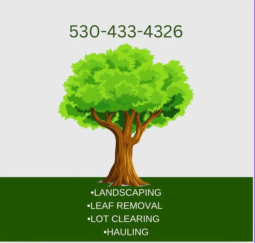 Reliable lawn care service for outdoor upgrades in Chico, CA by K’s All Around Services