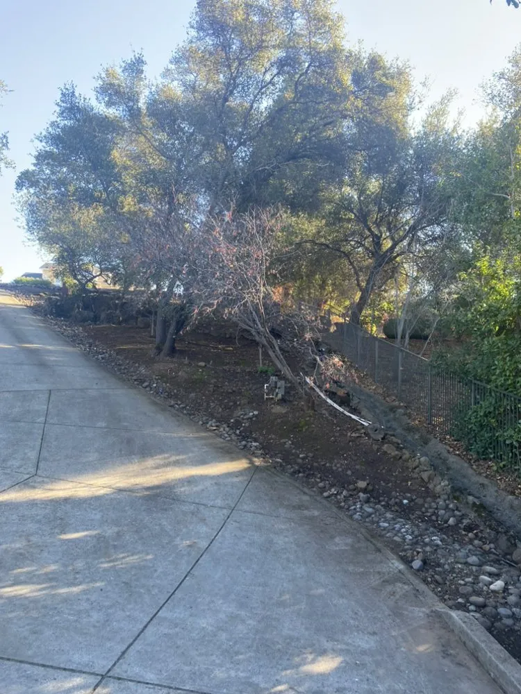 Trusted landscaping services in Chico, CA by K’s All Around Services