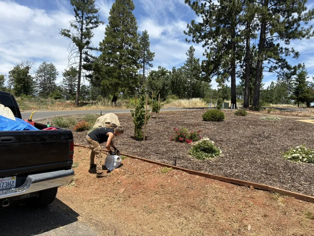 Affordable outdoor landscaping in Chico, CA by K’s All Around Services