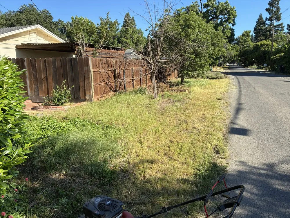 Affordable lawn care service experts serving Chico, CA - K’s All Around Services