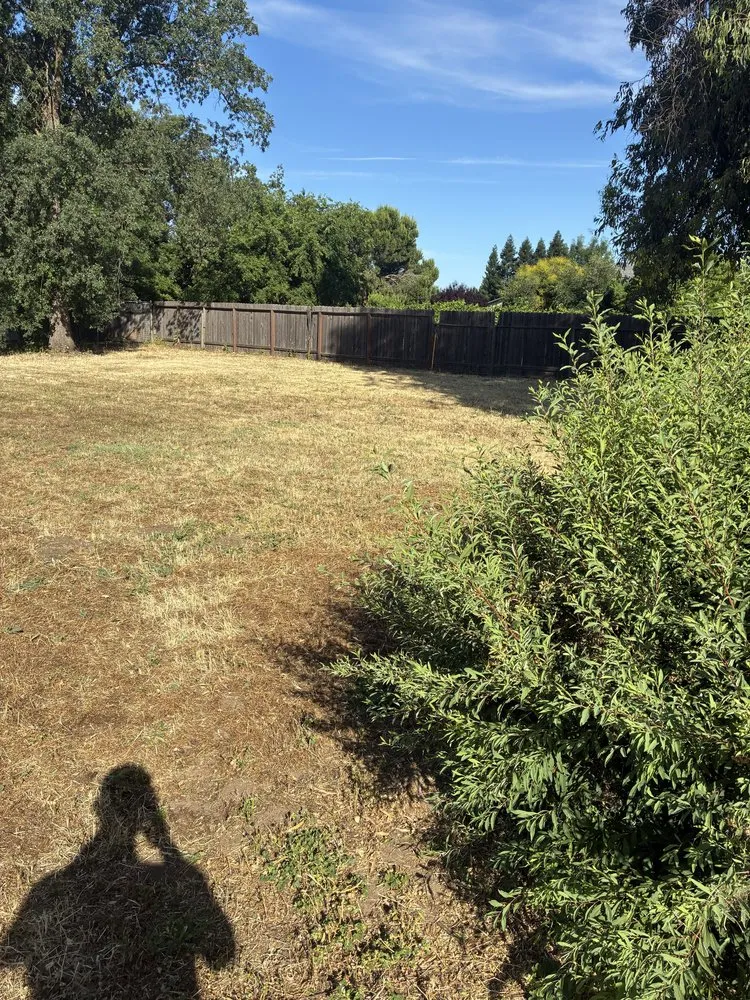 Affordable landscape installation in Chico, CA - K’s All Around Services