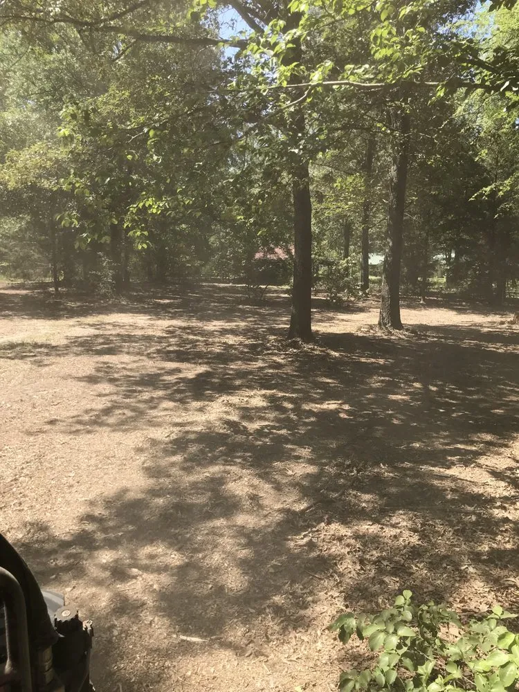 Local outdoor landscaping in Longview, TX by K's Bustin' Brush & Land Cleaning