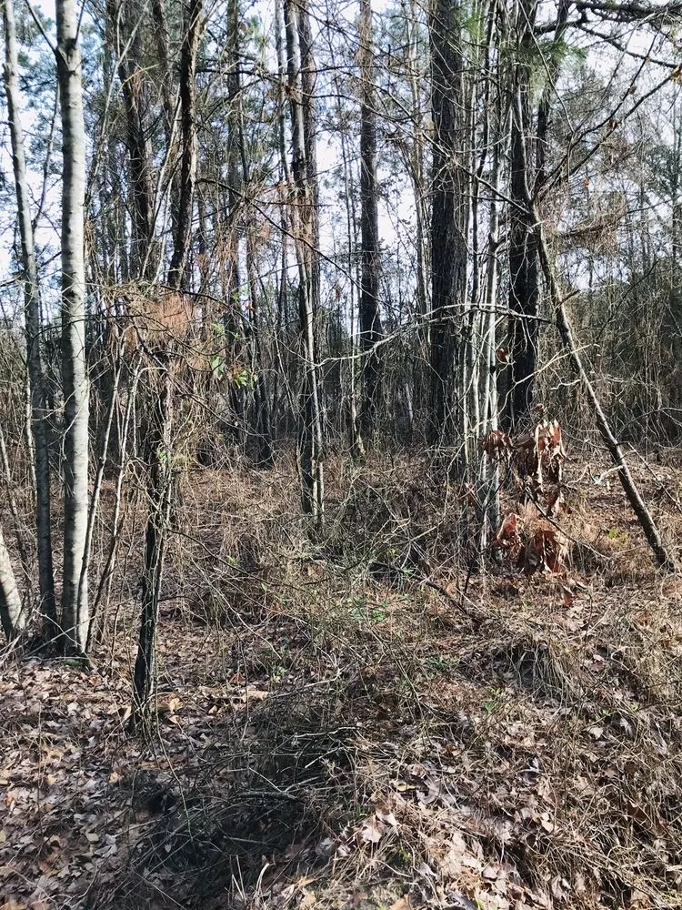 Trusted landscape installation experts serving Longview, TX - K's Bustin' Brush & Land Cleaning