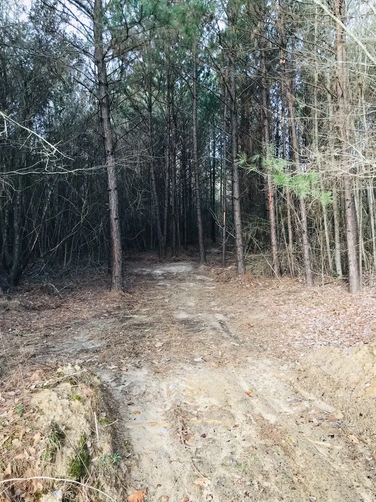 Custom lawn care service near you across Longview, TX - K's Bustin' Brush & Land Cleaning