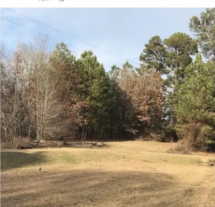 Top-rated yard maintenance experts serving Longview, TX - K's Bustin' Brush & Land Cleaning