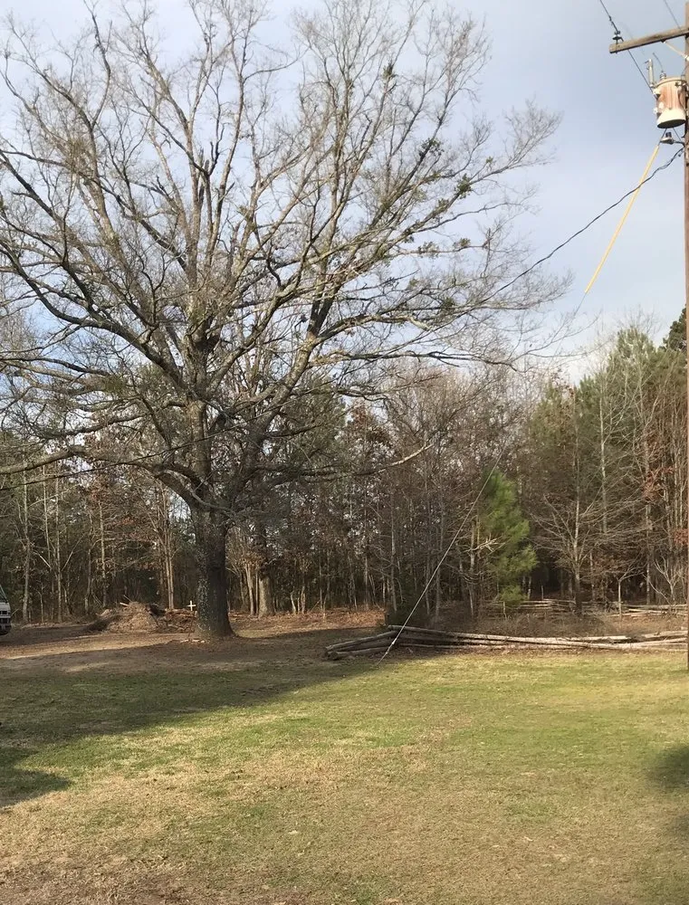 Trusted lawn mowing service in Longview, TX - K's Bustin' Brush & Land Cleaning