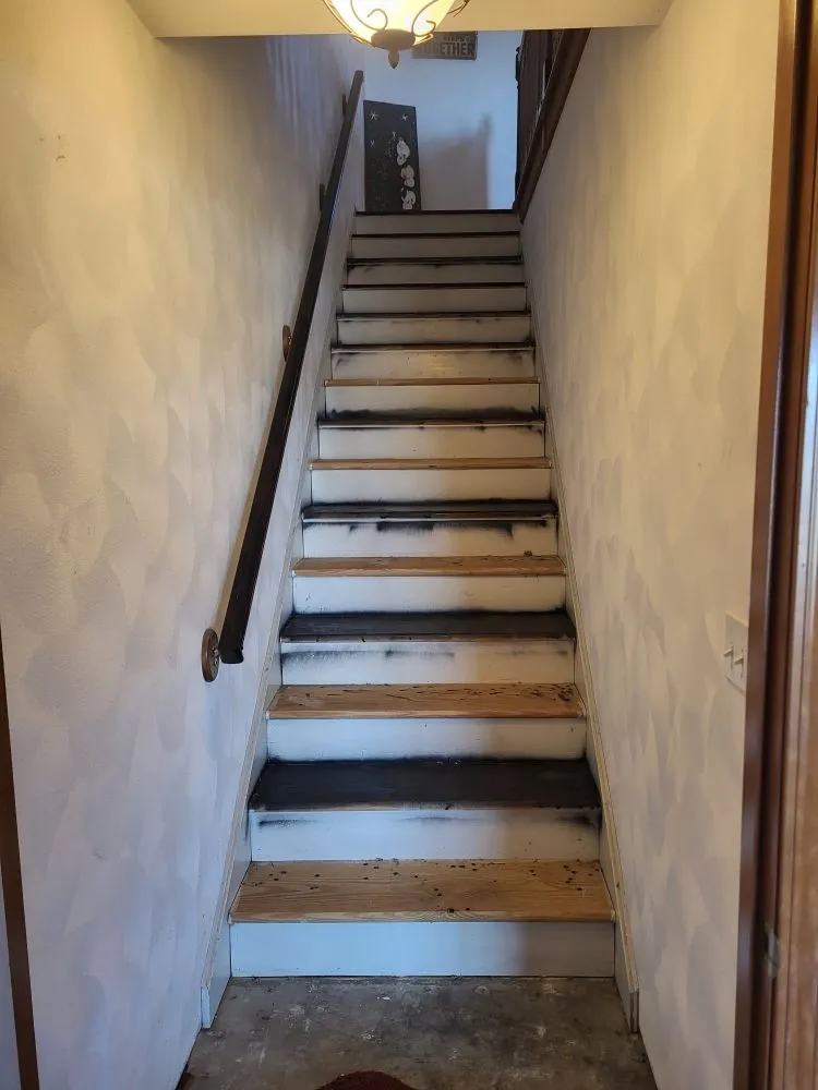 Top-rated lawn care service for year-round maintenance across Waterloo, IL - K&S Construction & Lawn Care