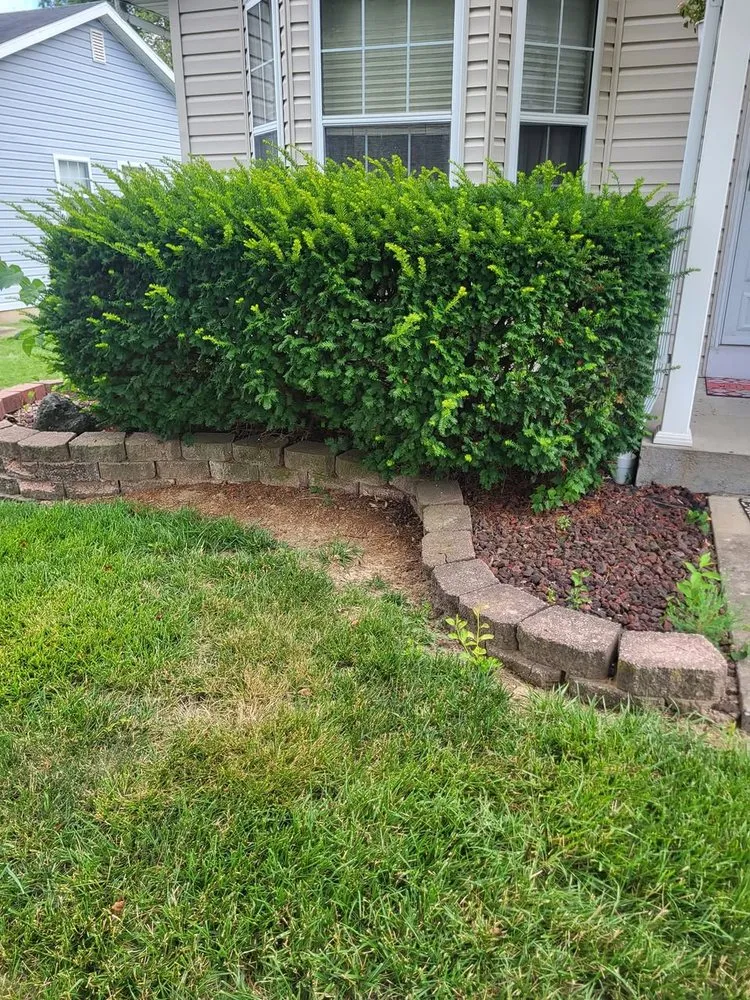 Professional lawn mowing service for year-round maintenance across Waterloo, IL - K&S Construction & Lawn Care