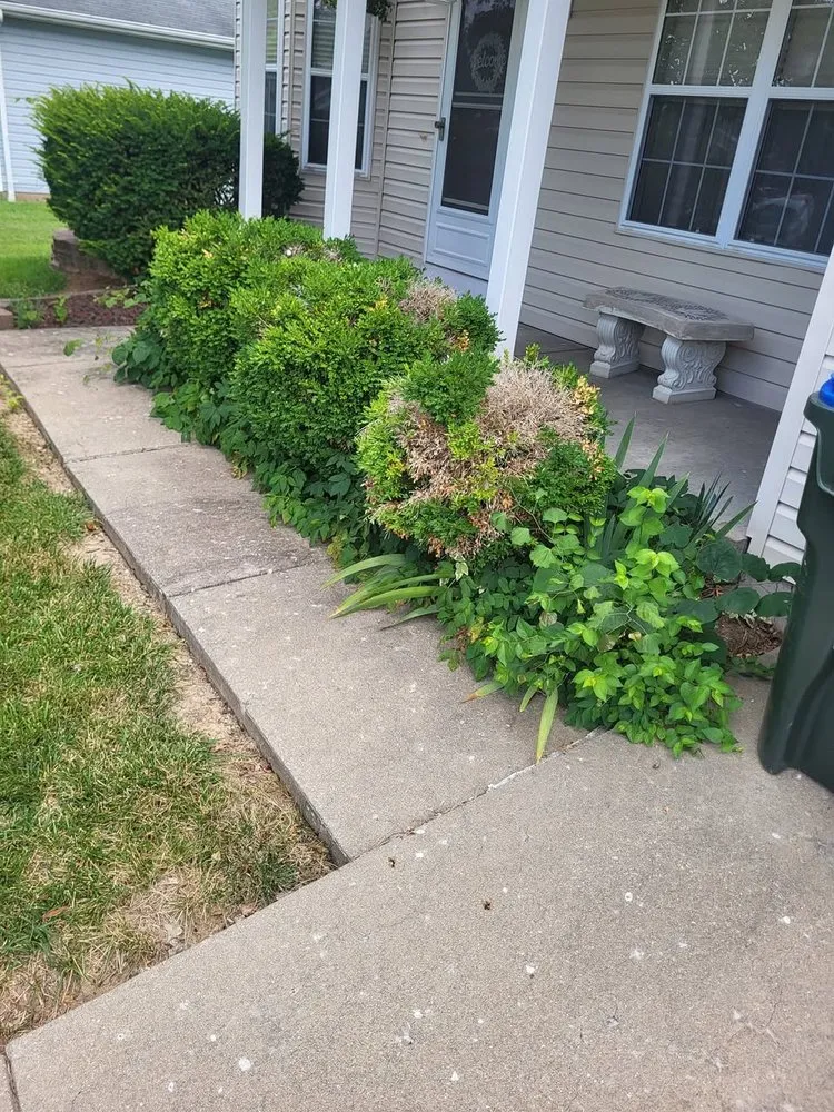 Affordable garden landscaping near you in Waterloo, IL by K&S Construction & Lawn Care