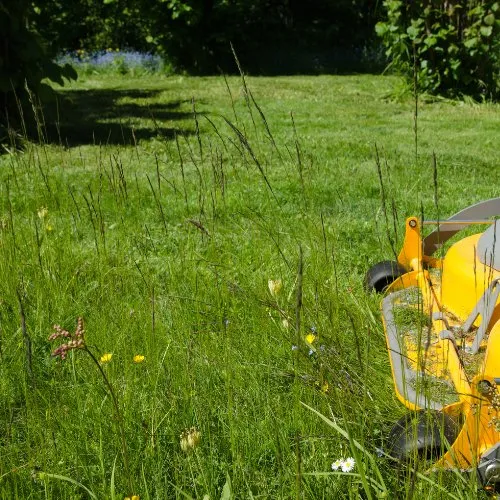 Trusted yard maintenance for outdoor upgrades in St. Petersburg, FL by K&S Family Lawncare & More