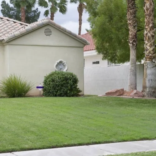 Top-rated landscape design for outdoor upgrades across St. Petersburg, FL - K&S Family Lawncare & More