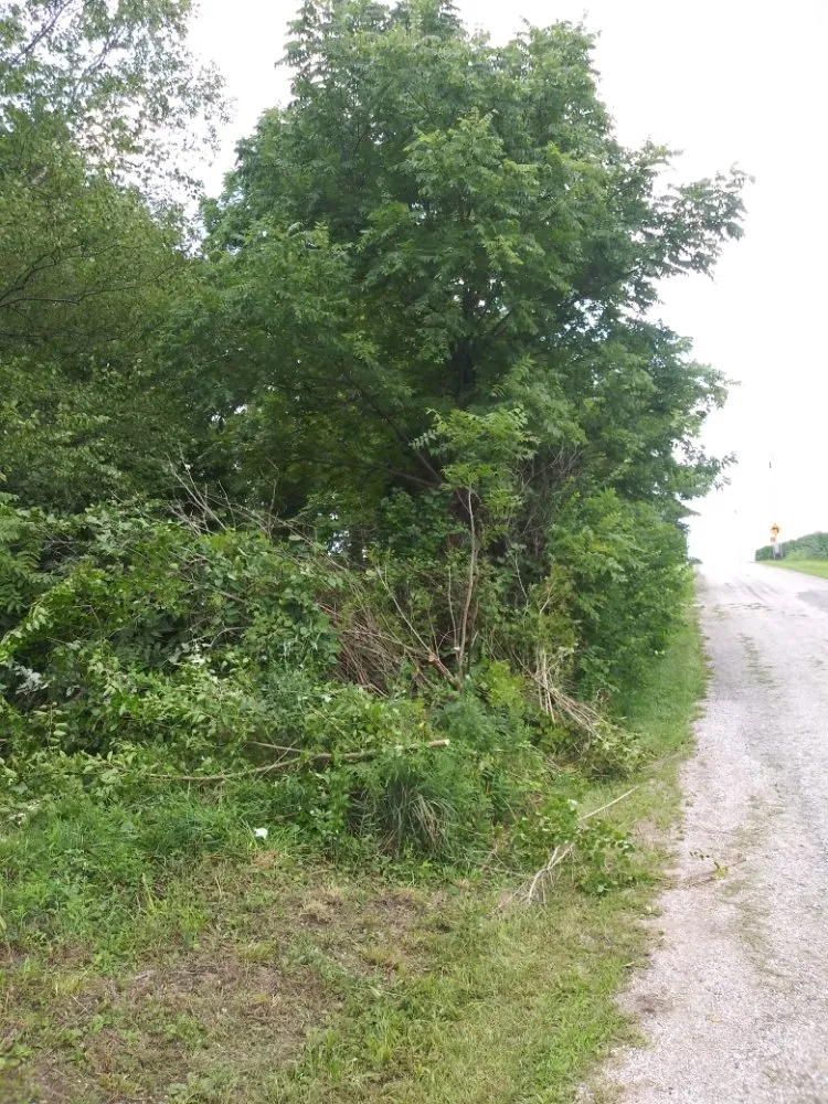 Top-rated yard cleanup service for homes in Stilesville, IN by K&S General Services