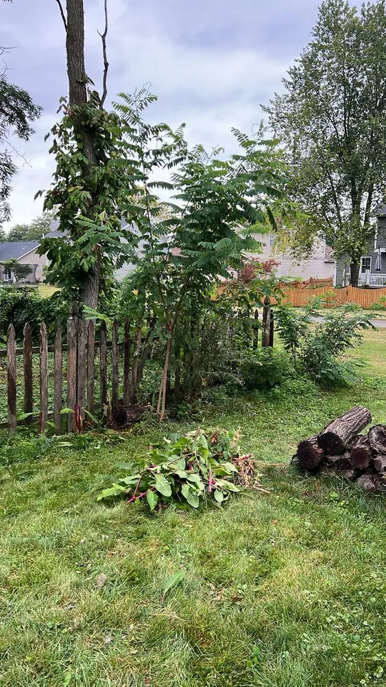 Professional garden landscaping in Aurora, IL by KS Landscaping