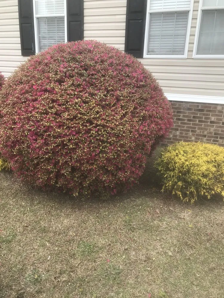 Trusted landscape design in Benson, NC by K&S landscaping