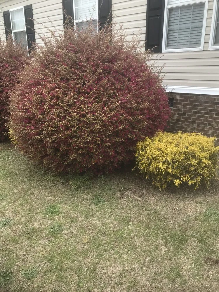 Expert landscape installation for homes in Benson, NC by K&S landscaping