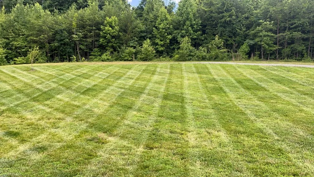 Expert yard cleanup service experts serving Kernersville, NC - K&S Landscaping