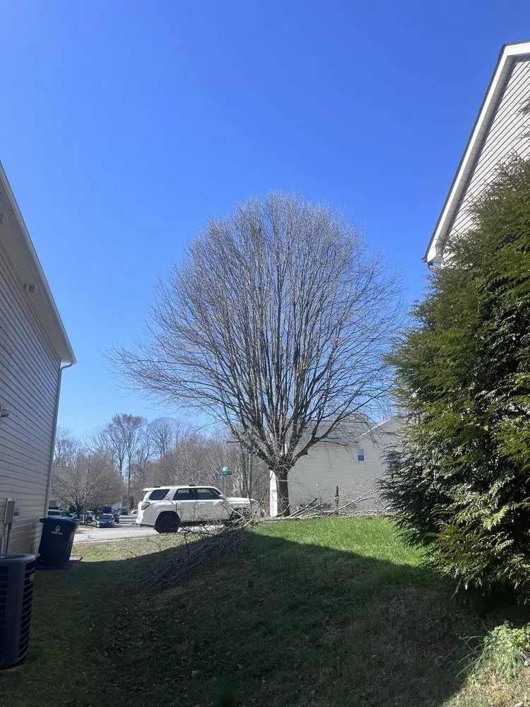 Expert lawn care service in Kernersville, NC - K&S Landscaping