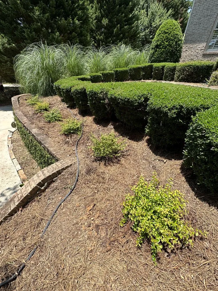 Local residential landscaping for outdoor upgrades in Pelham, AL by K’s Landscaping Services
