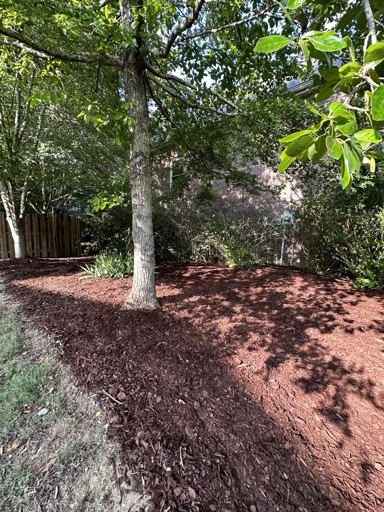 Expert yard cleanup service experts serving Pelham, AL - K’s Landscaping Services