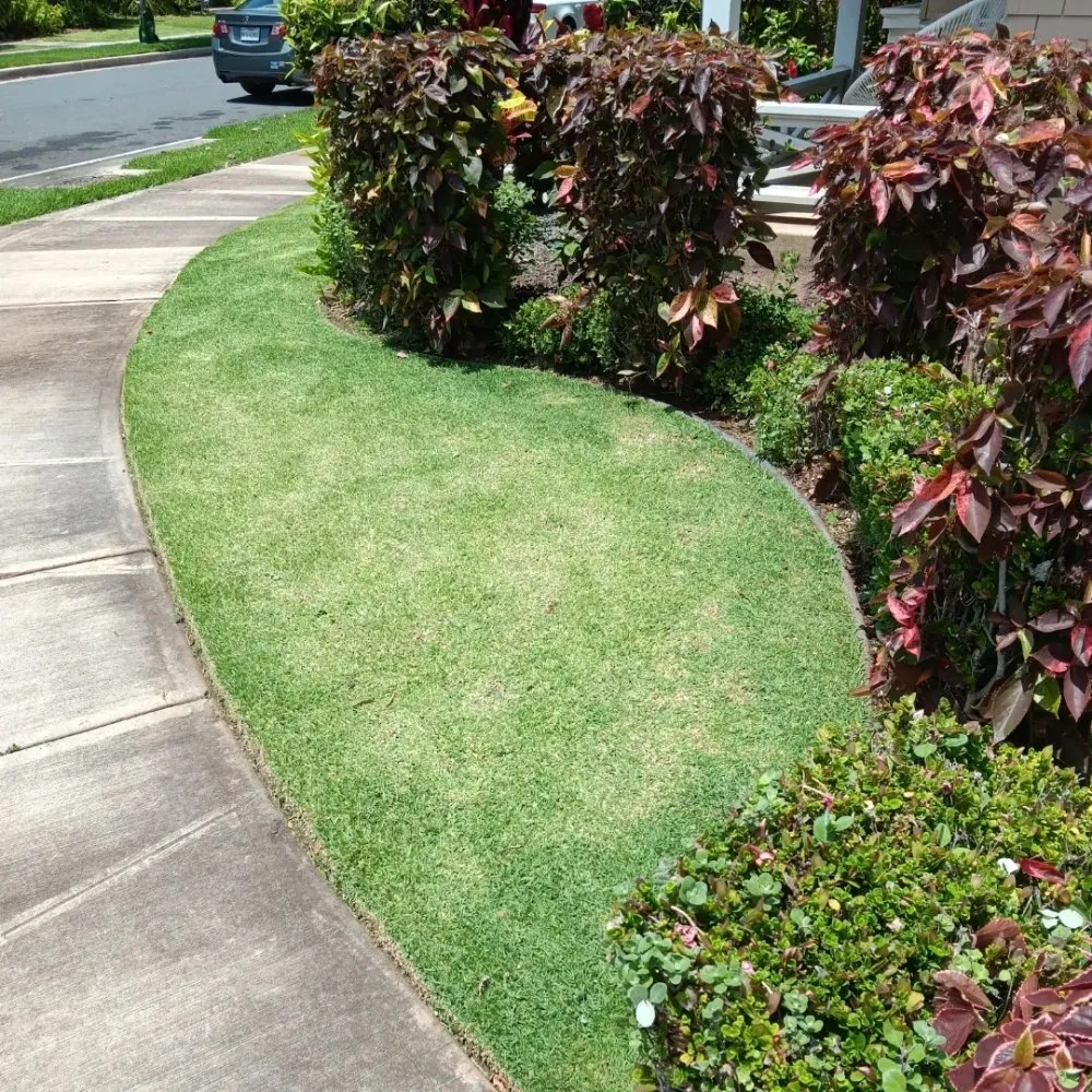 Trusted landscaping services for residential properties across Waianae, HI - ks Landscaping