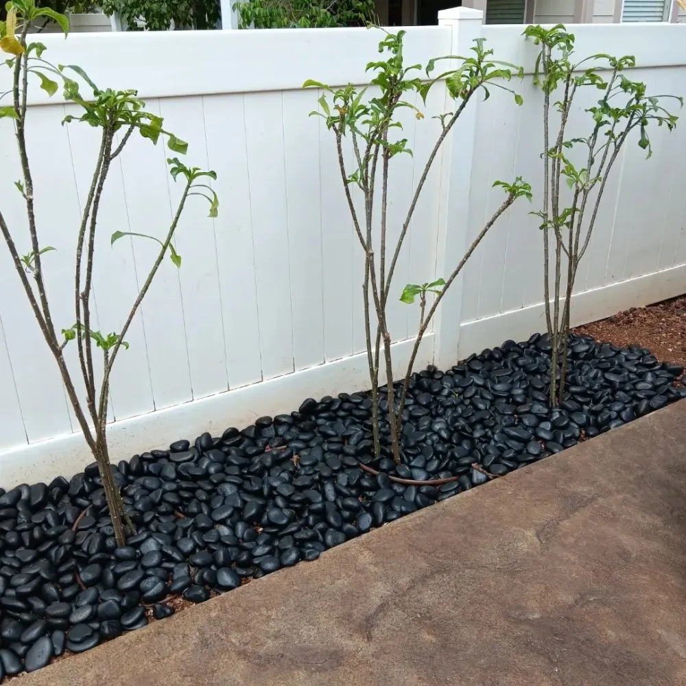 Affordable yard cleanup service experts serving Waianae, HI - ks Landscaping