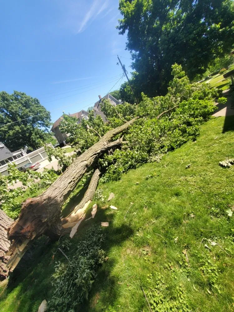 Affordable residential landscaping experts serving Ottawa, IL - K's Lawn and Landscaping