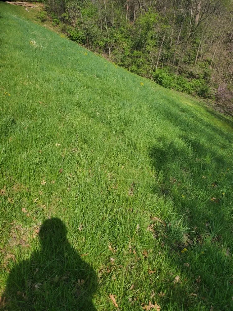 Reliable landscape design near you in Ottawa, IL by K's Lawn and Landscaping