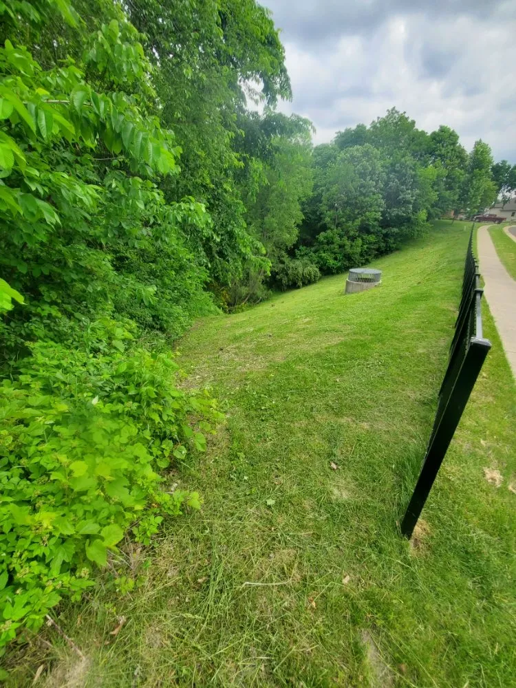 Expert yard maintenance in Ottawa, IL by K's Lawn and Landscaping