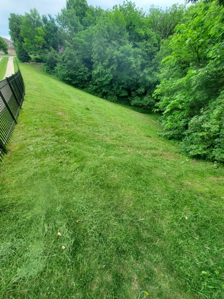 Local landscape design for homes in Ottawa, IL by K's Lawn and Landscaping