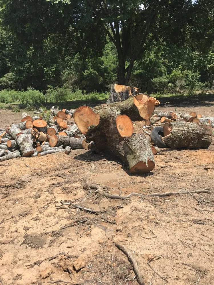 Reliable landscaping services for outdoor upgrades across Evensville, TN - K&S Lawn and Tree Service