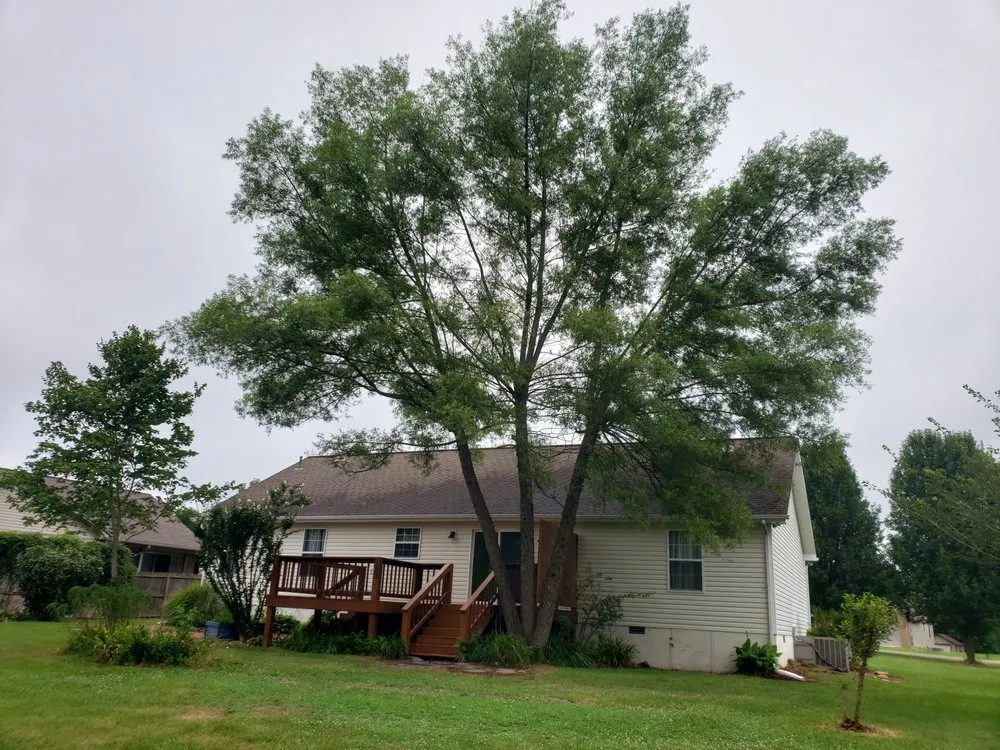 Professional landscaping services for beautiful yards in Evensville, TN by K&S Lawn and Tree Service
