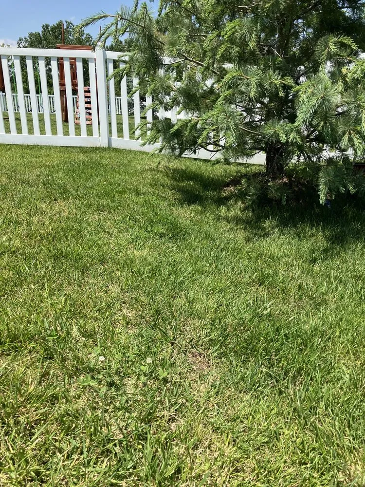 Top-rated yard maintenance for outdoor upgrades across Ofallon, MO - K&S Lawn Maintenance