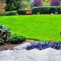 Local yard maintenance near you across Ofallon, MO - K&S Lawn Maintenance