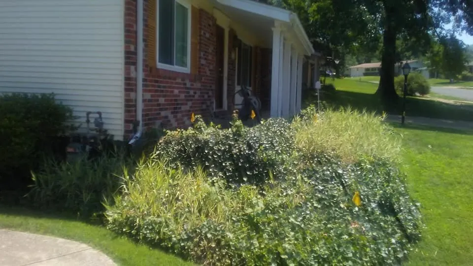 Affordable garden landscaping for homes across Ofallon, MO - K&S Lawn Maintenance
